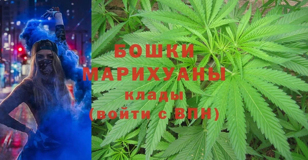 мяу мяу мука Бородино