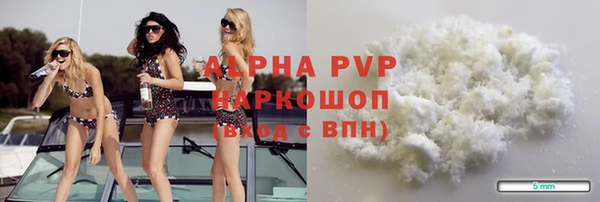СК Ельня