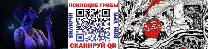 ОМГ ОМГ зеркало  Любим  Галлюциногенные грибы мицелий 